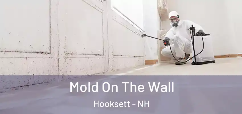 Mold On The Wall Hooksett - NH
