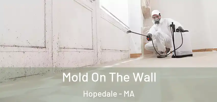 Mold On The Wall Hopedale - MA