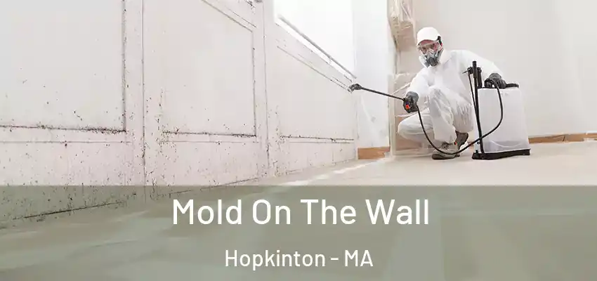 Mold On The Wall Hopkinton - MA