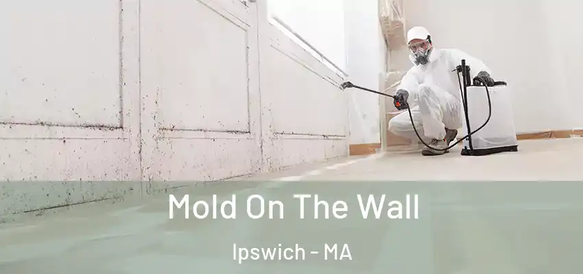 Mold On The Wall Ipswich - MA