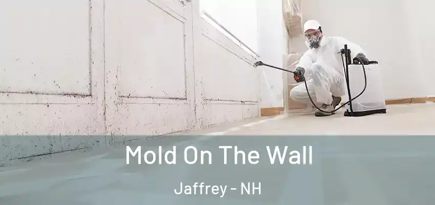 Mold On The Wall Jaffrey - NH