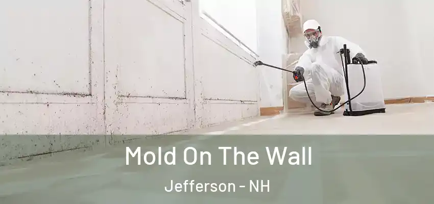  Mold On The Wall Jefferson - NH