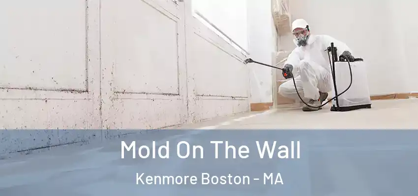  Mold On The Wall Kenmore Boston - MA