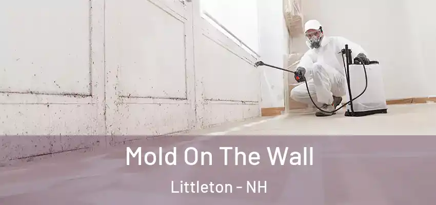 Mold On The Wall Littleton - NH
