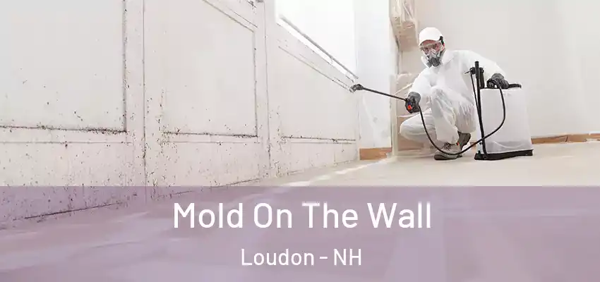 Mold On The Wall Loudon - NH