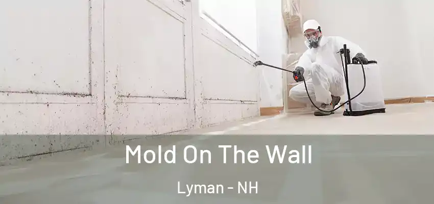 Mold On The Wall Lyman - NH