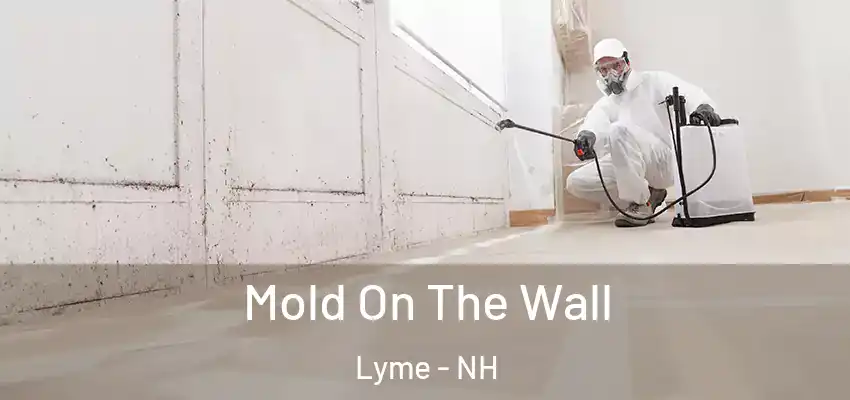 Mold On The Wall Lyme - NH