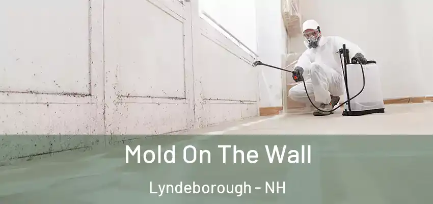  Mold On The Wall Lyndeborough - NH