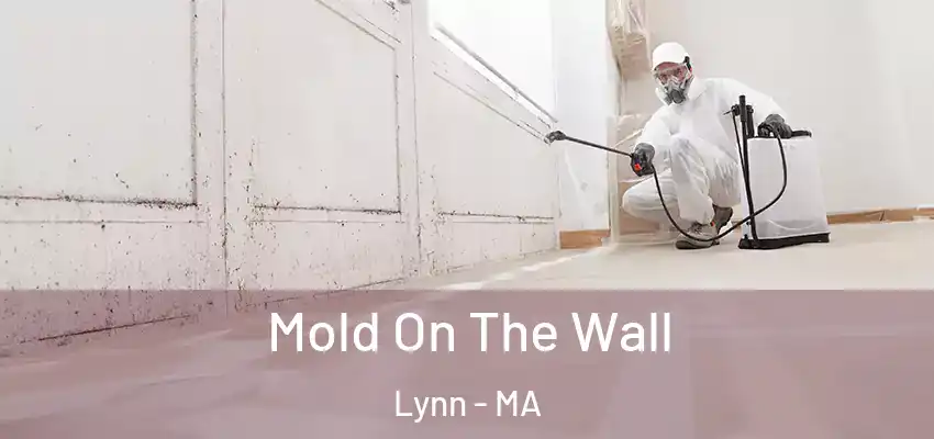 Mold On The Wall Lynn - MA