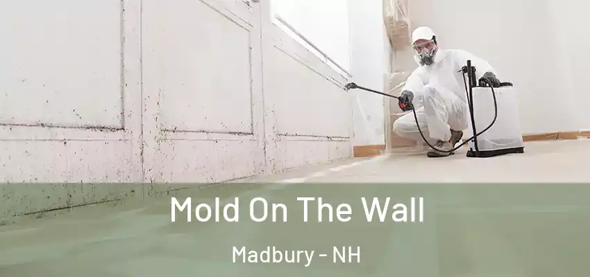  Mold On The Wall Madbury - NH