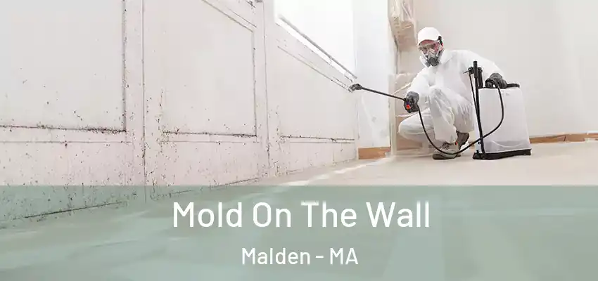  Mold On The Wall Malden - MA