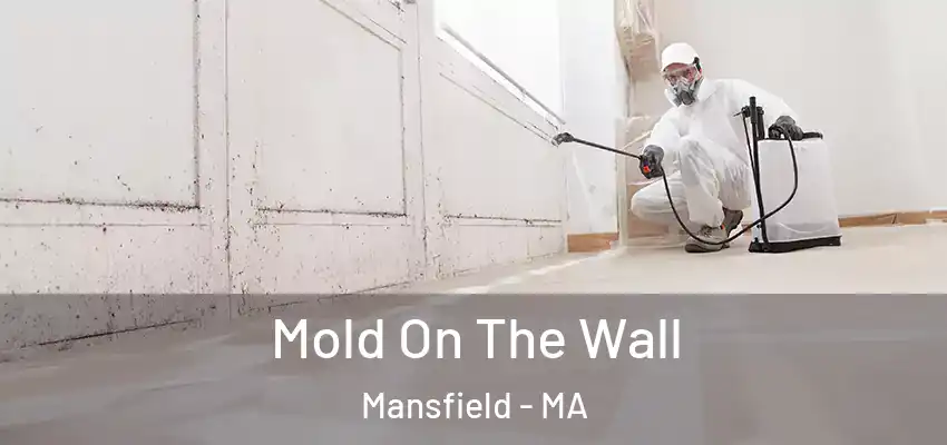 Mold On The Wall Mansfield - MA