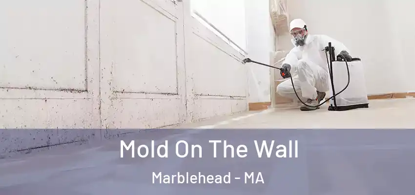  Mold On The Wall Marblehead - MA