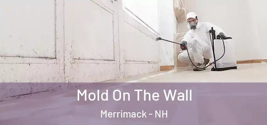 Mold On The Wall Merrimack - NH