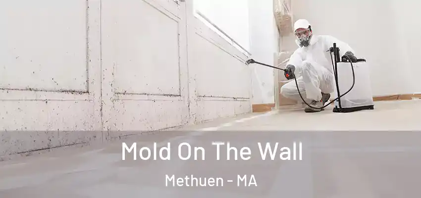 Mold On The Wall Methuen - MA