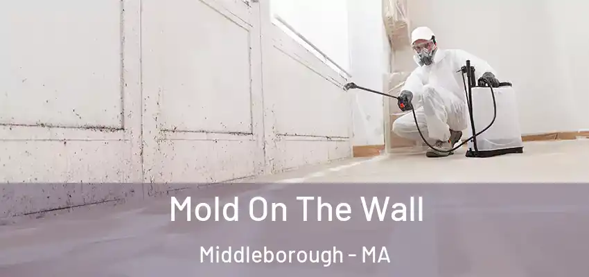  Mold On The Wall Middleborough - MA