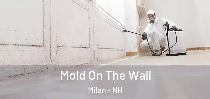 Mold On The Wall Milan - NH