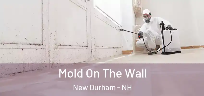  Mold On The Wall New Durham - NH