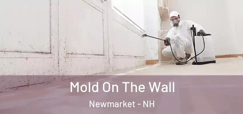  Mold On The Wall Newmarket - NH