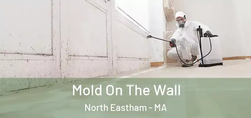  Mold On The Wall North Eastham - MA