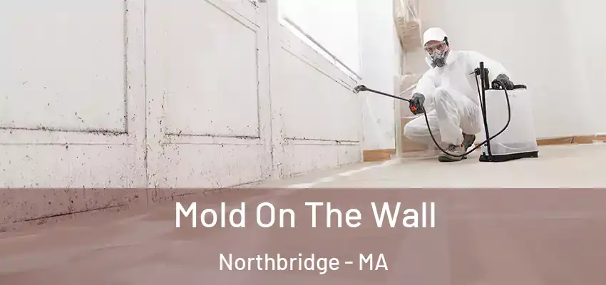 Mold On The Wall Northbridge - MA
