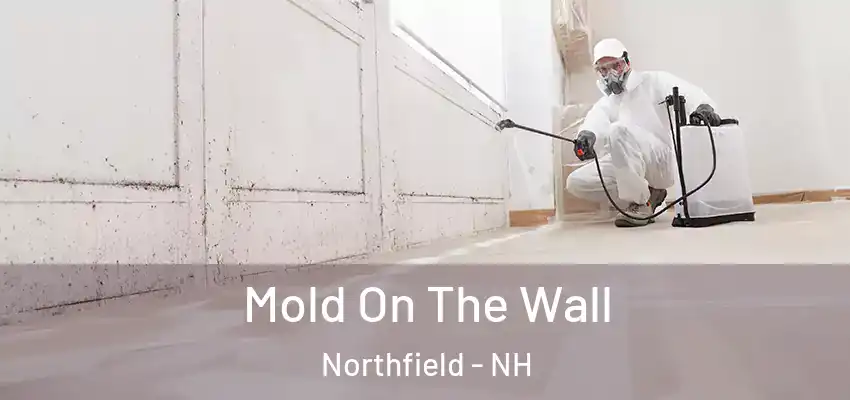  Mold On The Wall Northfield - NH