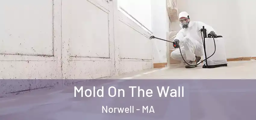  Mold On The Wall Norwell - MA