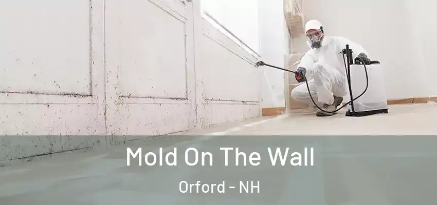 Mold On The Wall Orford - NH