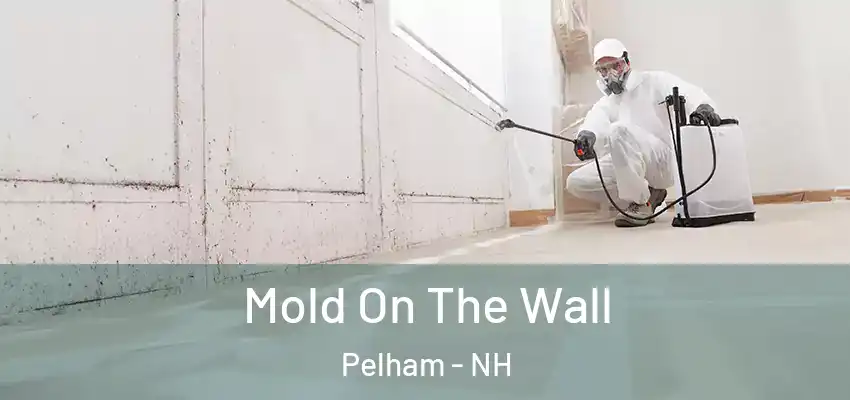  Mold On The Wall Pelham - NH