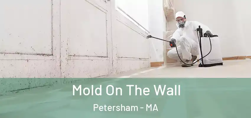  Mold On The Wall Petersham - MA