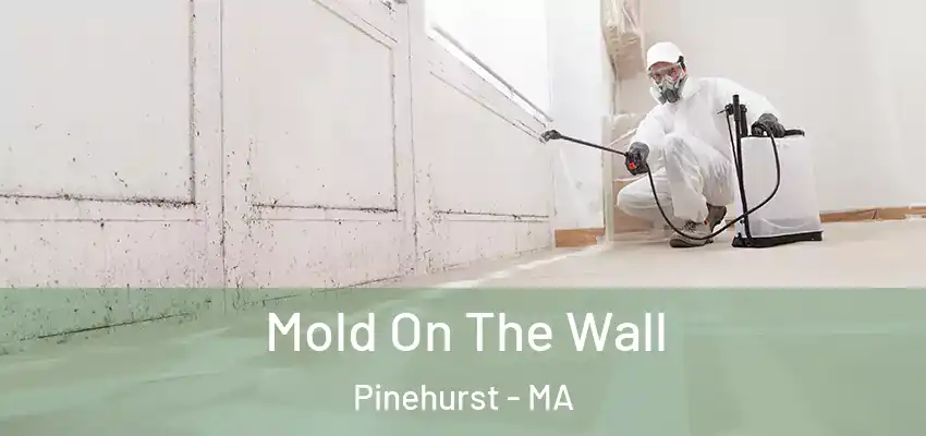  Mold On The Wall Pinehurst - MA