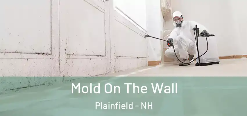  Mold On The Wall Plainfield - NH