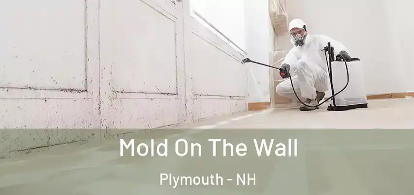  Mold On The Wall Plymouth - NH
