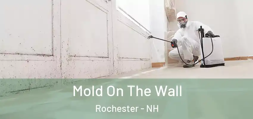 Mold On The Wall Rochester - NH
