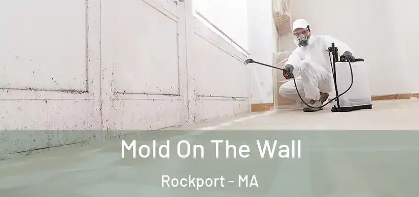  Mold On The Wall Rockport - MA