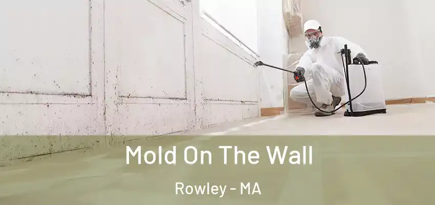  Mold On The Wall Rowley - MA