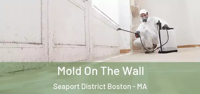  Mold On The Wall Seaport District Boston - MA