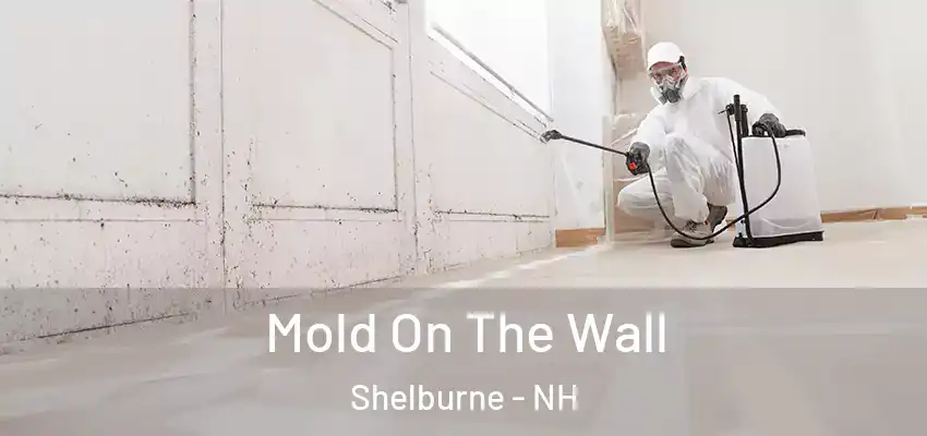 Mold On The Wall Shelburne - NH