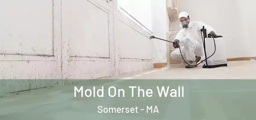  Mold On The Wall Somerset - MA