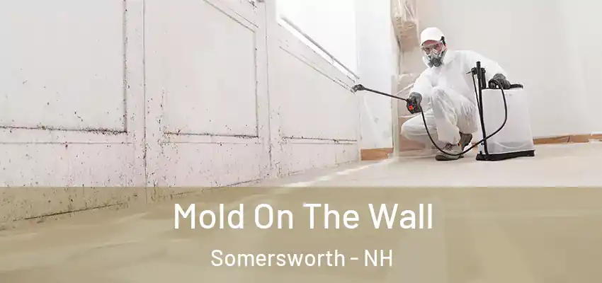  Mold On The Wall Somersworth - NH