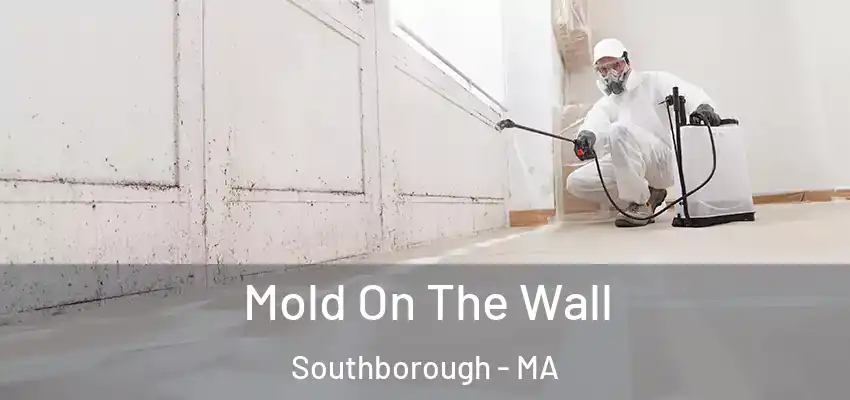 Mold On The Wall Southborough - MA