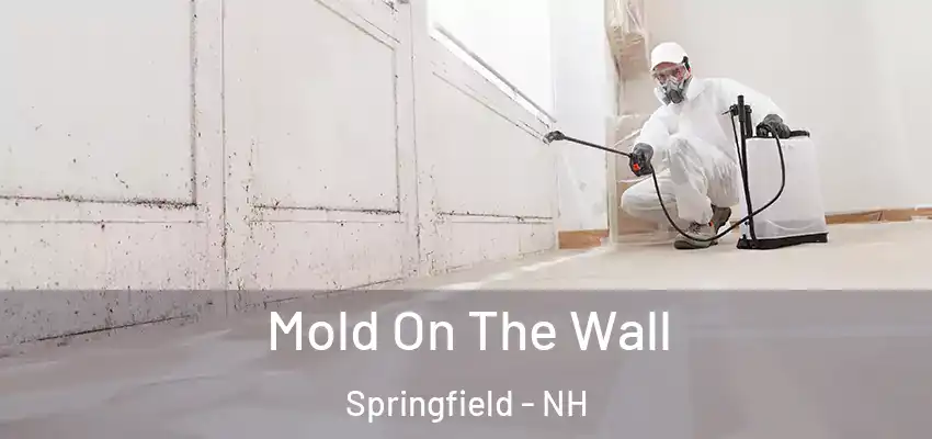 Mold On The Wall Springfield - NH
