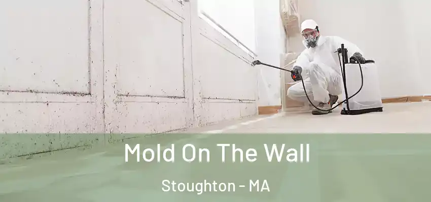 Mold On The Wall Stoughton - MA
