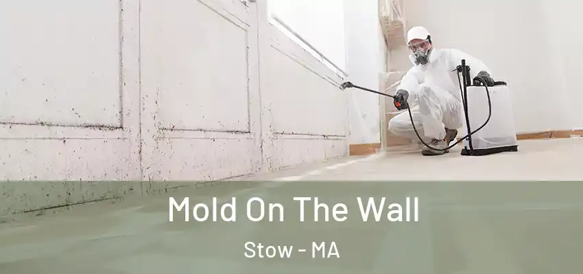  Mold On The Wall Stow - MA