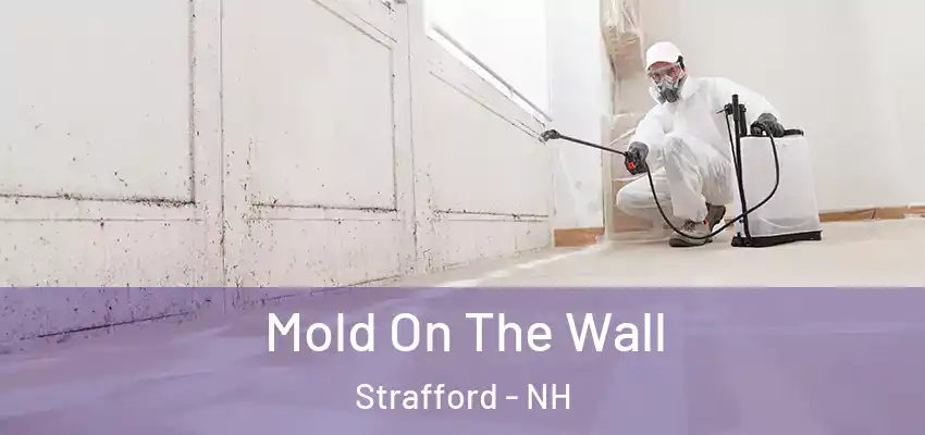  Mold On The Wall Strafford - NH
