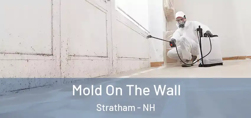  Mold On The Wall Stratham - NH