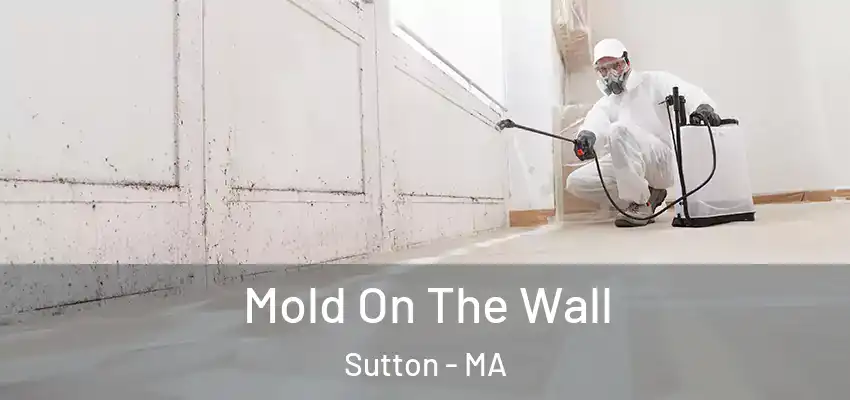 Mold On The Wall Sutton - MA