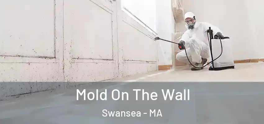  Mold On The Wall Swansea - MA