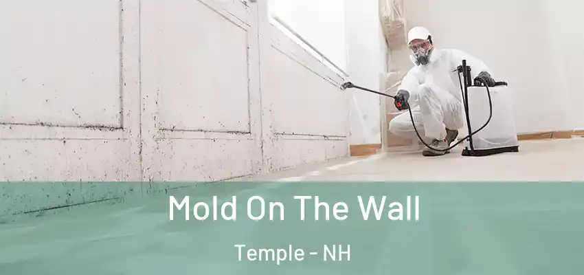  Mold On The Wall Temple - NH