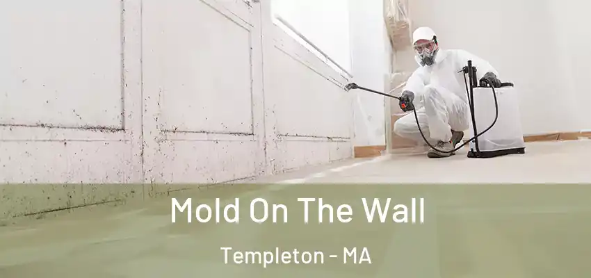 Mold On The Wall Templeton - MA